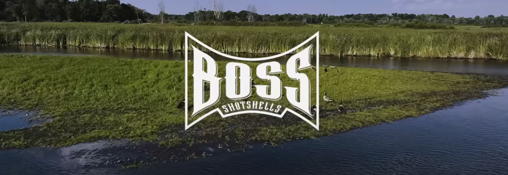 BOSS Shotshells Origin Story Image